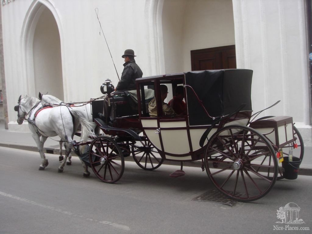 Фото 43 - Вена. Прогулка по историческому центру