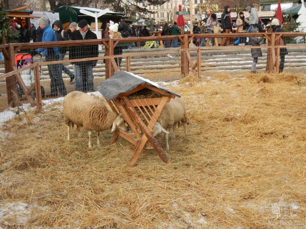Фото 32 - Рождество в Вене 2012 - фотоотчет очевидцев