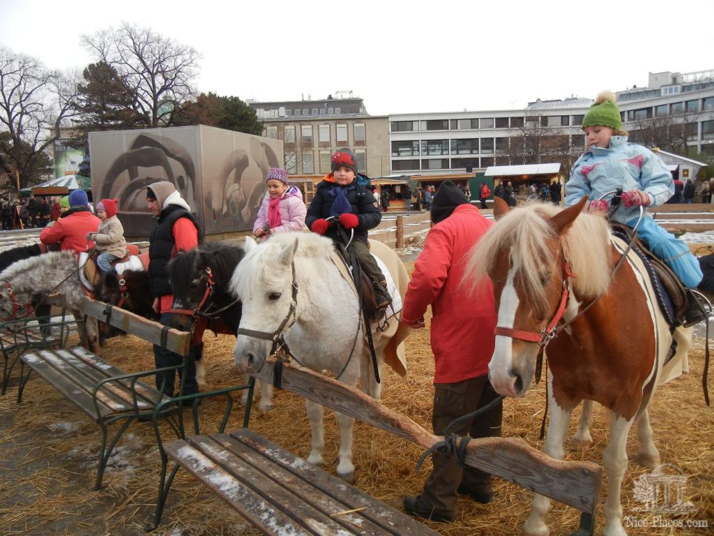 Готовятся для прогулки - Рождество в Вене 2012 - фотоотчет очевидцев