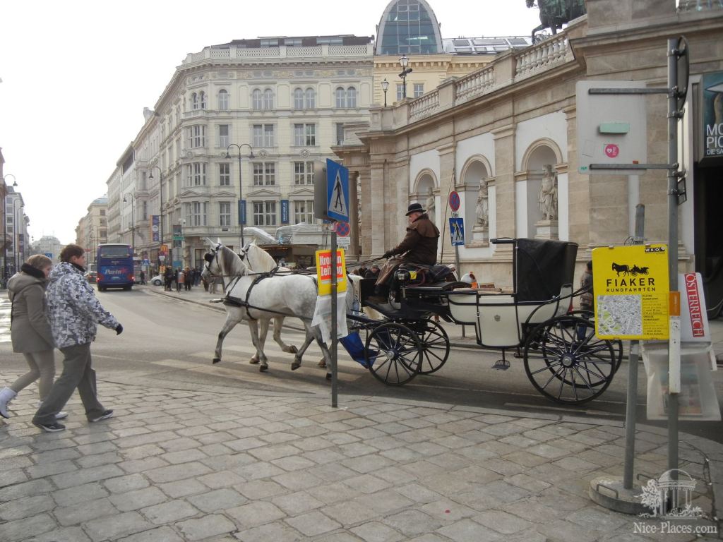 Фиакр - Рождество в Вене 2012 - фотоотчет очевидцев