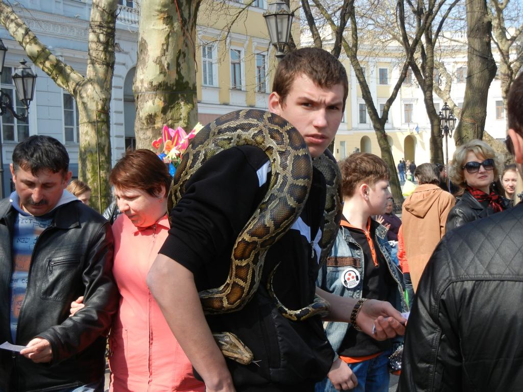Укротитель змей предлагает сфотографироваться - Одесская Юморина 2011