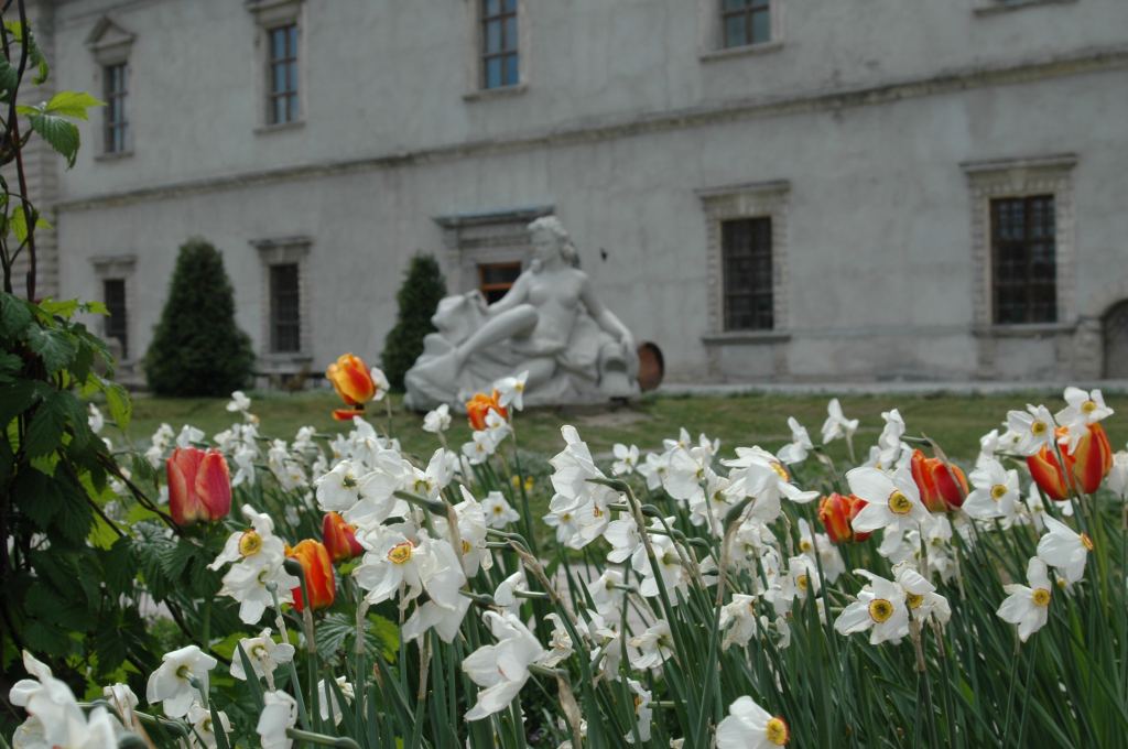 Фото 6 - Золочевский замок. Западная Украина