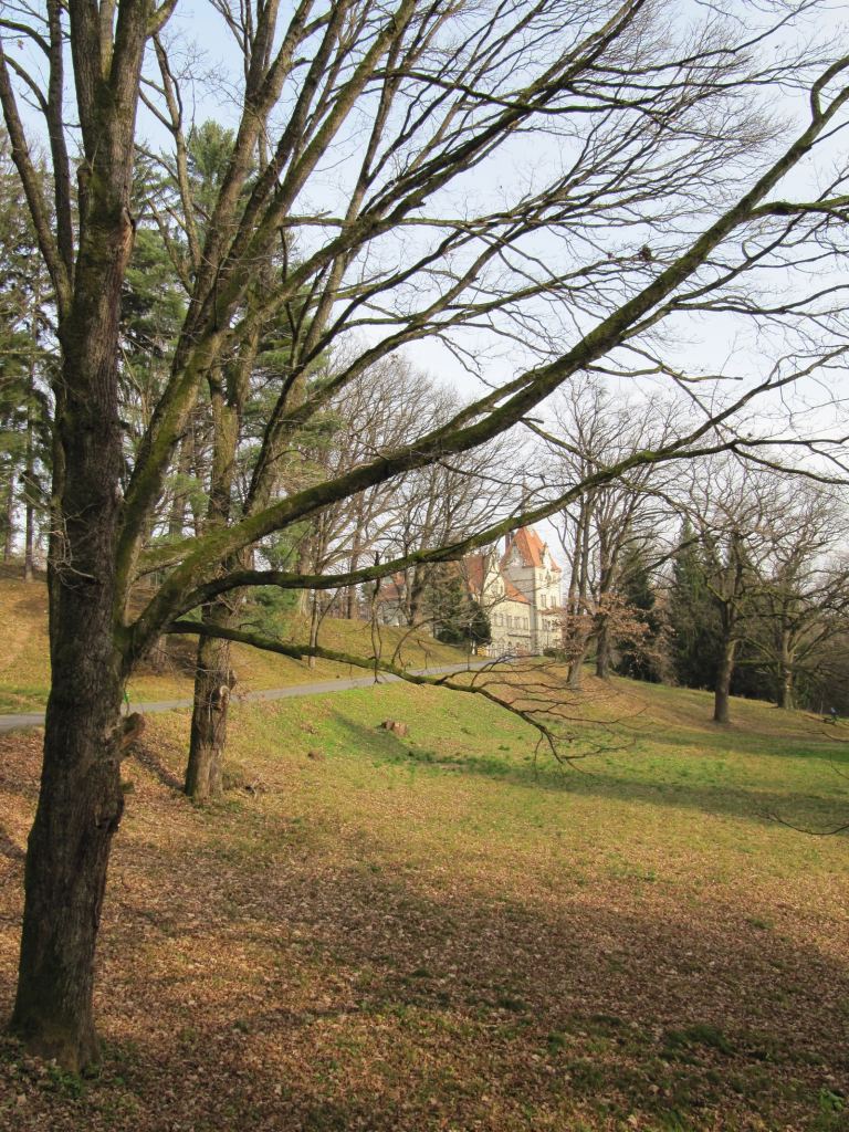 Фото 23 - Карпаты. Замок Шенборнов в Чинадиево