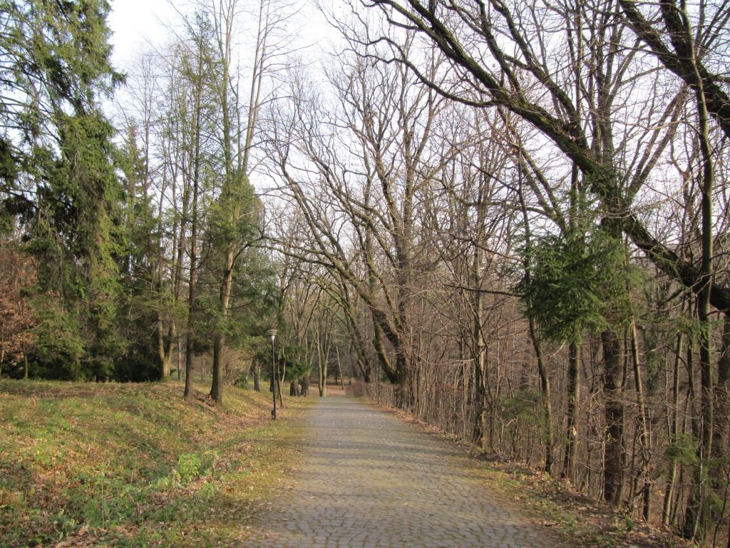 Фото 24 - Карпаты. Замок Шенборнов в Чинадиево