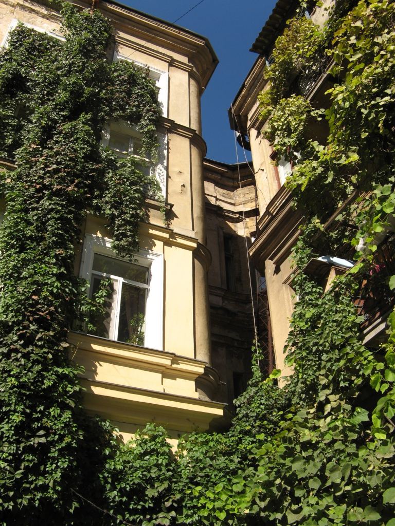 Фото 11 - Двор "Окно в Европу" на Пушкинской