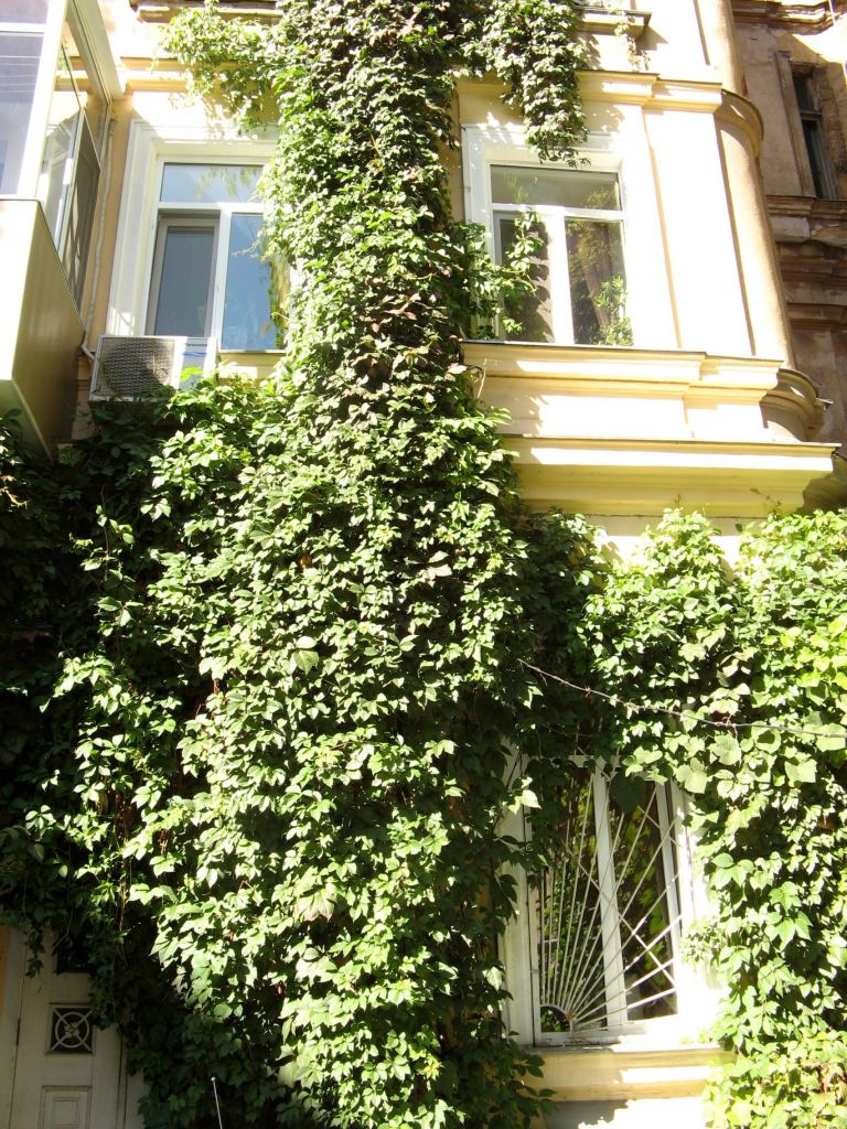 Фото 12 - Двор "Окно в Европу" на Пушкинской