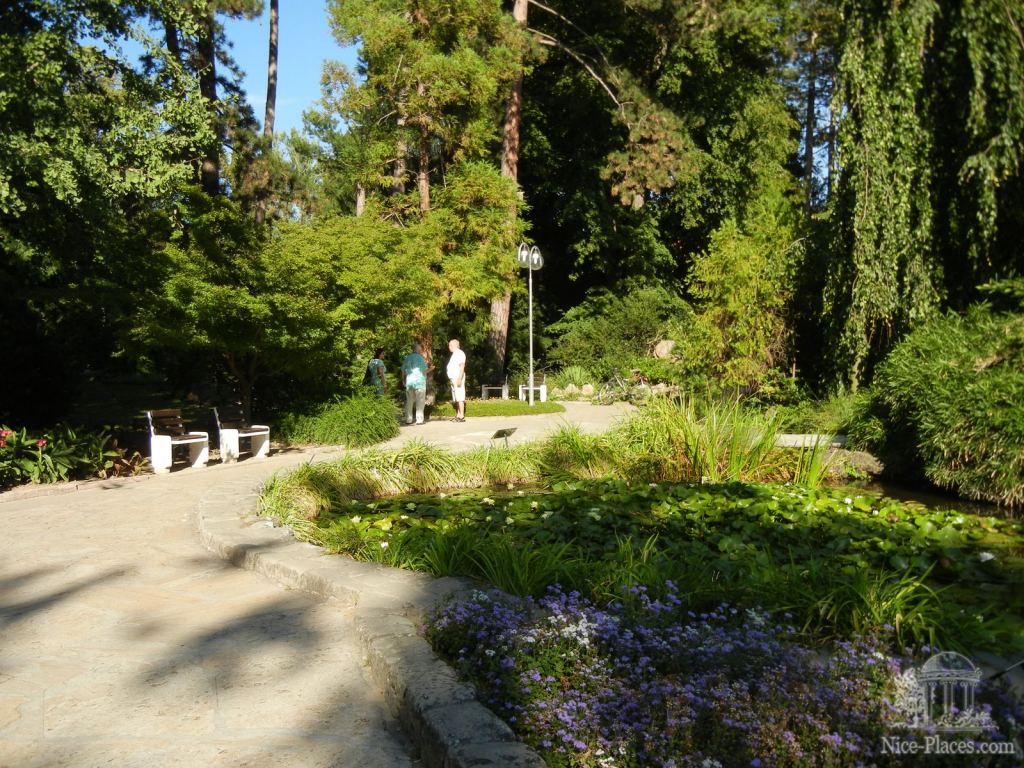 В парке на Купельном острове - Пьештяны - красивейший бальнеологический курорт Словакии