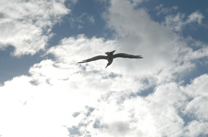 Фото 14 - Однажды на северном море. Гаага
